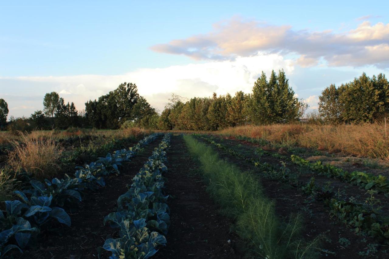 Agriturismo Corte Lidia Bellaguarda Eksteriør bilde